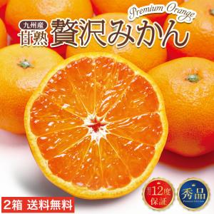 みかん 熊本 福岡 送料無料 甘熟贅沢みかん 3箱セット 1箱あたり約2kg