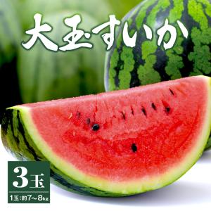 ＼ご予約受付中！／ 【送料無料】 大玉スイカ 3玉 2L (約7〜8kg) ×3玉 熊本 県産 種あり 秀品 祭りばやし 熊本 植木 産地直送 贈答 ギフト お取り寄せ｜marukajiri-kyushu