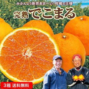 的兵みかん 和歌山産 赤秀 mサイズ 約5kg : 果物専門店 フルーツ千里