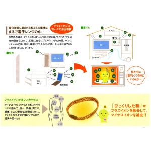 びっくりした輪 電磁波対策 静電気 実用新案特...の詳細画像2
