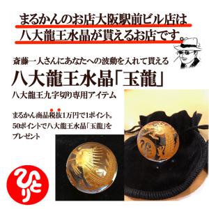 やせ人 銀座まるかん 爆買の詳細画像2