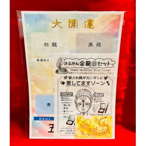 まるかん金龍セットB 大セレブ近未来シルバー ...の詳細画像1