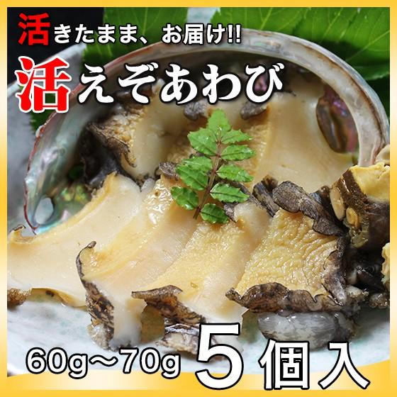 活えぞアワビ養殖（韓国産）325g(60g〜70ｇ×5個)〔海水入・酸素入〕〔送料無料〕4種類のカラ...