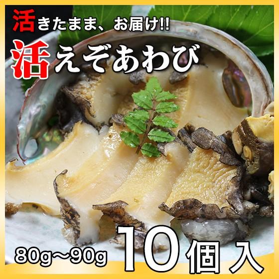 活えぞアワビ養殖（韓国産）850g(80g〜90ｇ×10個)〔海水入・酸素入〔送料無料〕4種類のカラ...