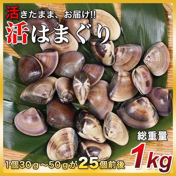 はまぐり国産天然1kg（1個30g〜50gが25個前後）小々〔送料無料地域あり〕〔千葉県産地直送〕カ...