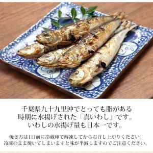 干物 送料無料 (18) 真いわし丸干し5尾入...の詳細画像2