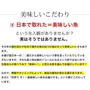 干物 送料無料 (13) 銀鮭切り身 3枚入×...の詳細画像4