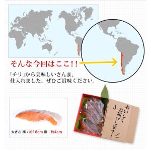 干物 送料無料 (13) 銀鮭切り身 3枚入×...の詳細画像5