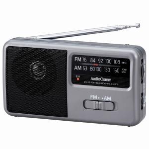 AM/FM ポータブルラジオ RAD-F1771...の商品画像