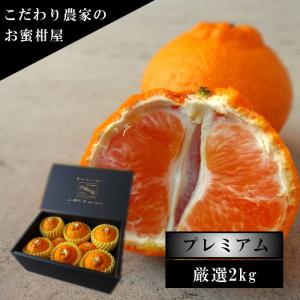 みかん 不知火 デコポンと同品種 甘い 送料無料 ギフト 高級 農家直送 濃厚(421)甘熟デコ　黒の化粧箱（大） サイズおまかせ 厳選 プレミアム 約２ｋｇ