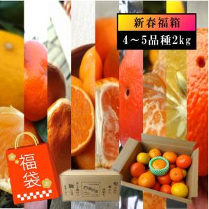 みかん みはや 夕焼け姫 はるひ 津之望 石地 たまみ 完熟 高糖度 甘い 送料無料 家庭用  (2001) こだわりのおみかん福袋2026-IRODORI- 人気4〜5品種 約2kg入