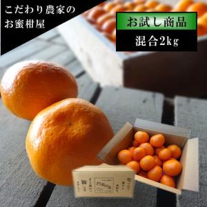 みかん 完熟 貯蔵 熟成 早生 お歳暮 高糖度 甘い 送料無料 家庭用 高級 農家直送 新鮮 濃厚 (176) 熟成味柑 茶箱 サイズ混合 お試し品 約２.25kg入