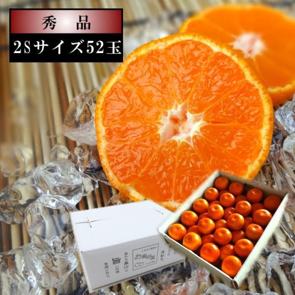 ハウスみかん 温室みかん お中元 甘い 送料無料 ギフト 高級 贈答 農家直送 新鮮 濃厚 (14)...