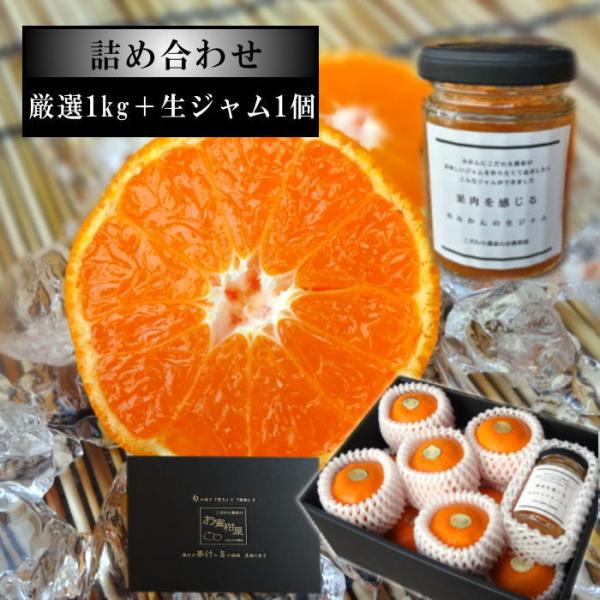 ハウスみかん みかん ジャム お中元 甘い 送料無料 ギフト 高級 農家直送 新鮮 濃厚 (80) ...