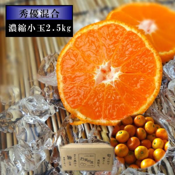 ハウスみかん 温室みかん お中元 甘い 送料無料 ギフト 高級 贈答 農家直送 新鮮 濃厚 (32)...