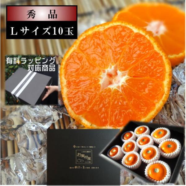 ハウスみかん お中元 甘い 送料無料 ギフト 高級 贈答 農家直送 新鮮 濃厚 (05) 蜜ツ星 み...