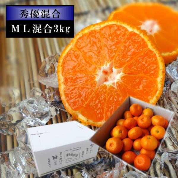 ハウスみかん 温室みかん お中元 甘い 送料無料 ギフト 高級 贈答 農家直送 新鮮 濃厚 (28)...