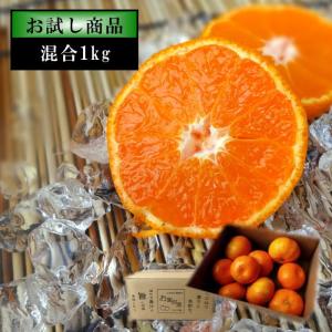 ハウスみかん 温室みかん お中元 甘い 送料無料 ギフト 高級 贈答 農家直送 新鮮 濃厚 (24) 蜜ツ星 みつぼし お試し品  サイズ混合 １ｋｇ入
