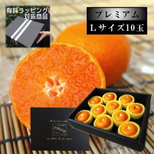 新春セール！ お得なセット2L、Ｌサイズ混合2箱計10キロ贈答に　あいか28号 あいか2kg 愛果28号【紅まどんな】【送料無料】【愛媛県産】 : えひめ
