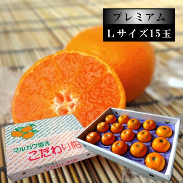 ハウスみかん 温室みかん お中元 甘い 送料無料 ギフト 高級 贈答 農家直送 新鮮 濃厚 (63)...
