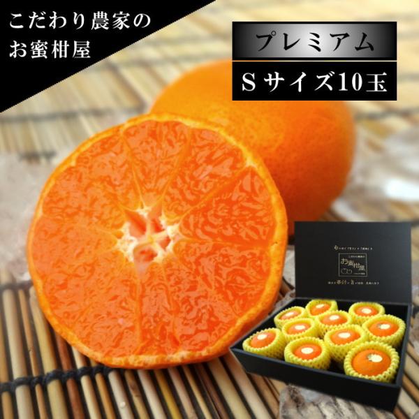 ハウスみかん お中元 甘い 送料無料 ギフト 高級 贈答 農家直送 新鮮 濃厚 (51) 蜜ツ星 プ...