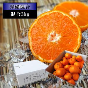 ハウスみかん 温室みかん お中元 甘い 送料無料 ギフト 高級 贈答 農家直送 新鮮 濃厚 (27) 蜜ツ星 みつぼし 白のギフト箱 サイズ混合 秀優混合 約３ｋｇ入