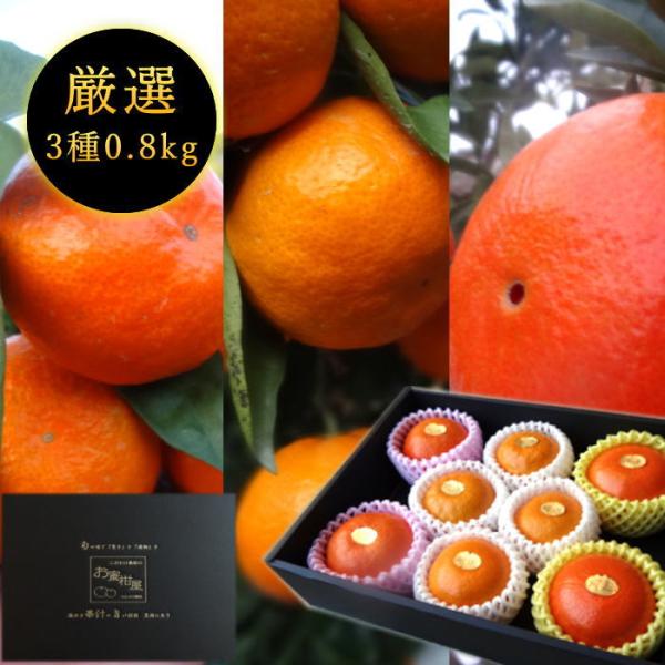 みかん みはや 夕焼け姫 完熟 お歳暮 高糖度 甘い 送料無料 ギフト 高級 (140) お蜜柑屋店...