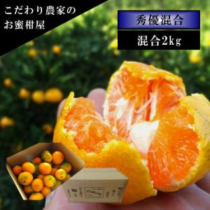 みかん 極早生みかん ゆら早生 高糖度 甘い 送料無料 家庭用 高級 贈答 農家直送 新鮮 濃厚 (224) ゆらりん サイズ混合 約2kg入