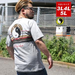 マルカワ Town Country タウンアンドカントリー ブランドリスト Yahoo ショッピング