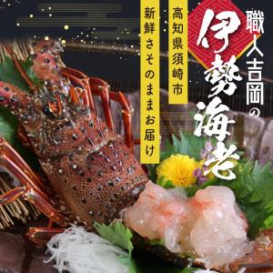 【訳あり大特価】職人吉岡の大きな冷凍伊勢海老　600ｇ...