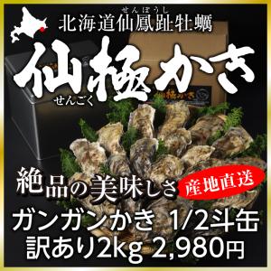 仙極ガンガンかき　1/2斗缶　訳あり2kg｜maruki-kimura