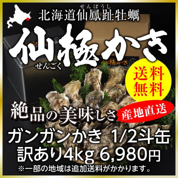 仙極ガンガンかき　1/2斗缶　訳あり4kg【送料無料】