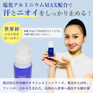 オドジェルロール 40ml 1本 塩化アルミニ...の詳細画像1