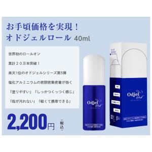 オドジェルロール 40ml 1本 塩化アルミニ...の詳細画像5