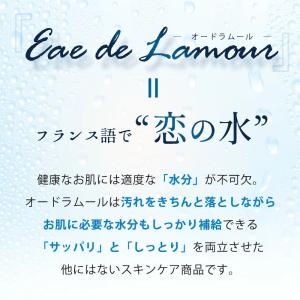 オードラムール 化粧水 オードムーゲ同成分 替...の詳細画像5