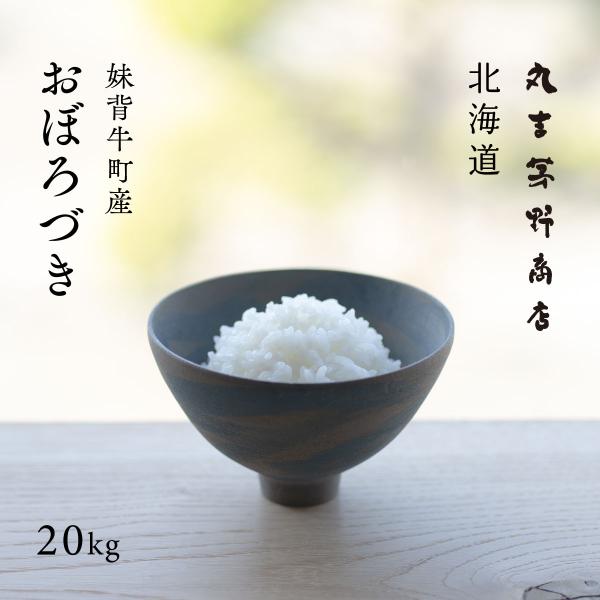 北海道産 おぼろづき 20kg 5kg×4袋 白米 令和7年産 産地限定 米 お米 送料無料 真空パ...