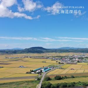 北海道産 ふっくりんこ お試し 750g 5合...の詳細画像4