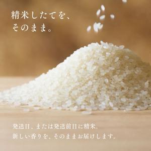 北海道産 ふっくりんこ お試し 750g 5合...の詳細画像5