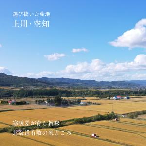 北海道産 ゆめぴりか 5kg 白米 令和7年産...の詳細画像3