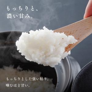 北海道産 ゆめぴりか お試し 750g 5合 ...の詳細画像1