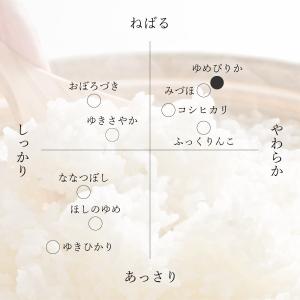 北海道産 ゆめぴりか お試し 750g 5合 ...の詳細画像3