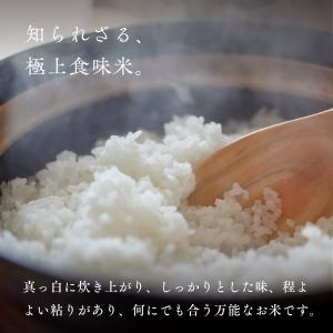 新米 令和8年産 北海道産 ゆきさやか 10k...の詳細画像1