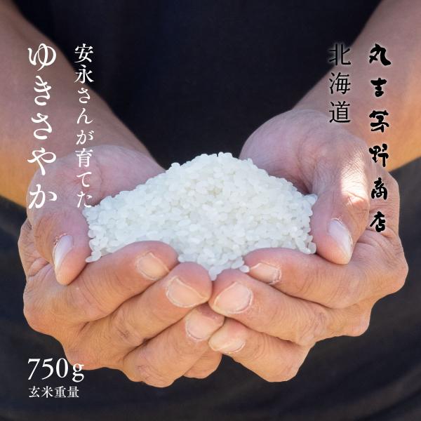 安永さんが育てた ゆきさやか お試し 750g 5合 北海道妹背牛産 玄米 白米 分づき米 令和7年...