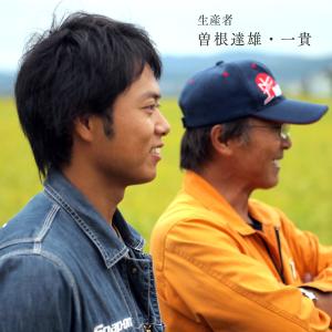 お米番付優秀賞 曽根さんが育てた ななつぼし ...の詳細画像4