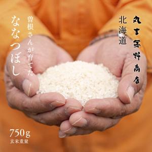 ななつぼし お米番付優秀賞 曽根さんが育てた 10kg 5kg×2袋 北海道