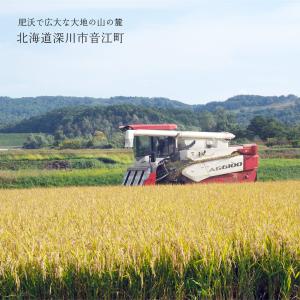 瀬川さんが育てた ふっくりんこ 5kg 北海道...の詳細画像2