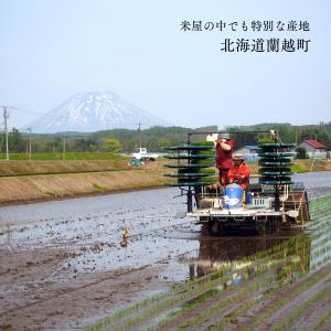 新米予約 松岡さんが育てた ゆめぴりか 10k...の詳細画像2