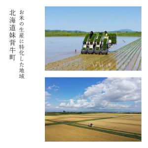 米1グランプリ連続受賞 曽根さんが育てた ゆめ...の詳細画像4