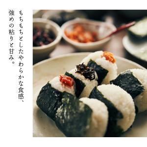 米1グランプリ連続受賞 曽根さんが育てた ゆめ...の詳細画像1