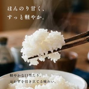 無洗米 北海道産 ななつぼし 10kg 5kg...の詳細画像1